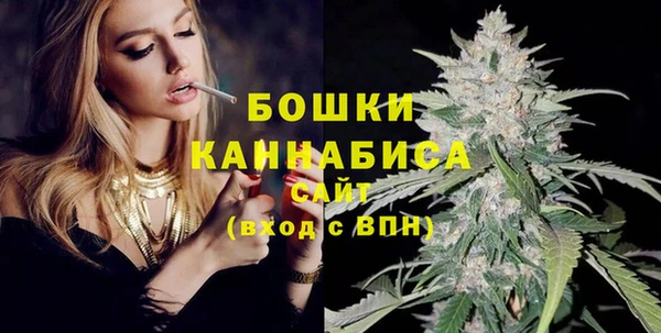 гашик Сосновка