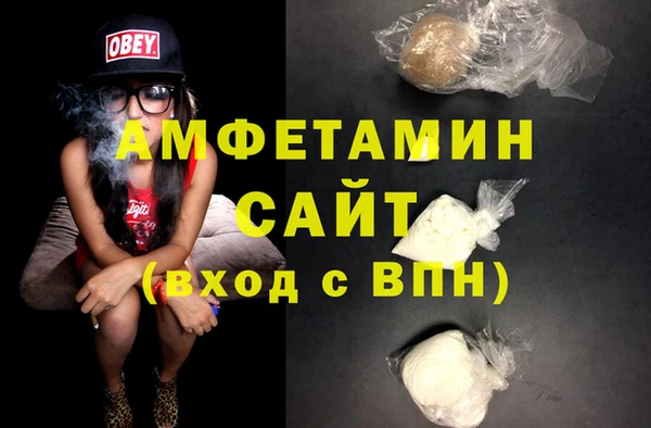 гашик Сосновка