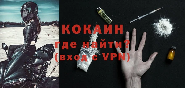 гашик Сосновка