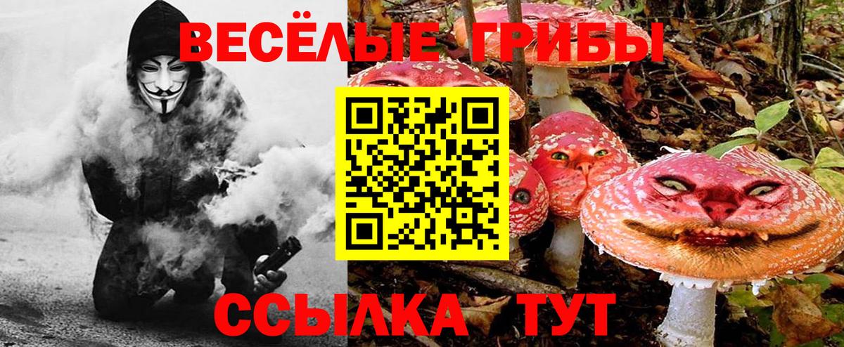 Галлюциногенные грибы GOLDEN TEACHER  Вход с VPN  Псилоцибиновые грибы MAGIC MUSHROOMS  Коркино 